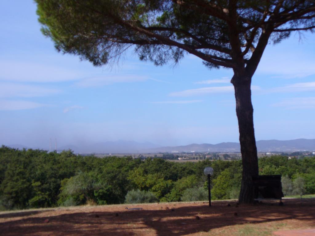 Agriturismo Bronzivalle 리오토토 외부 사진