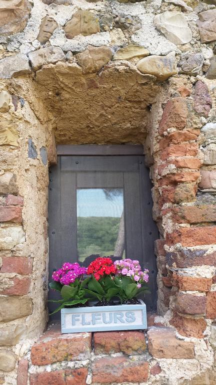 Agriturismo Bronzivalle 리오토토 외부 사진